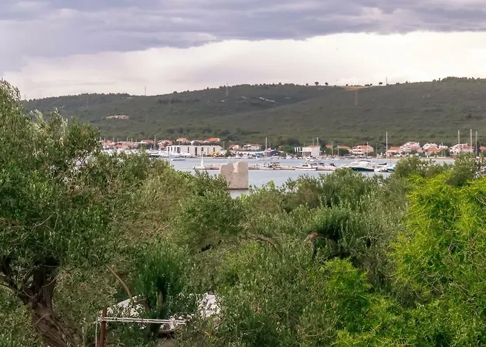 24 Punta